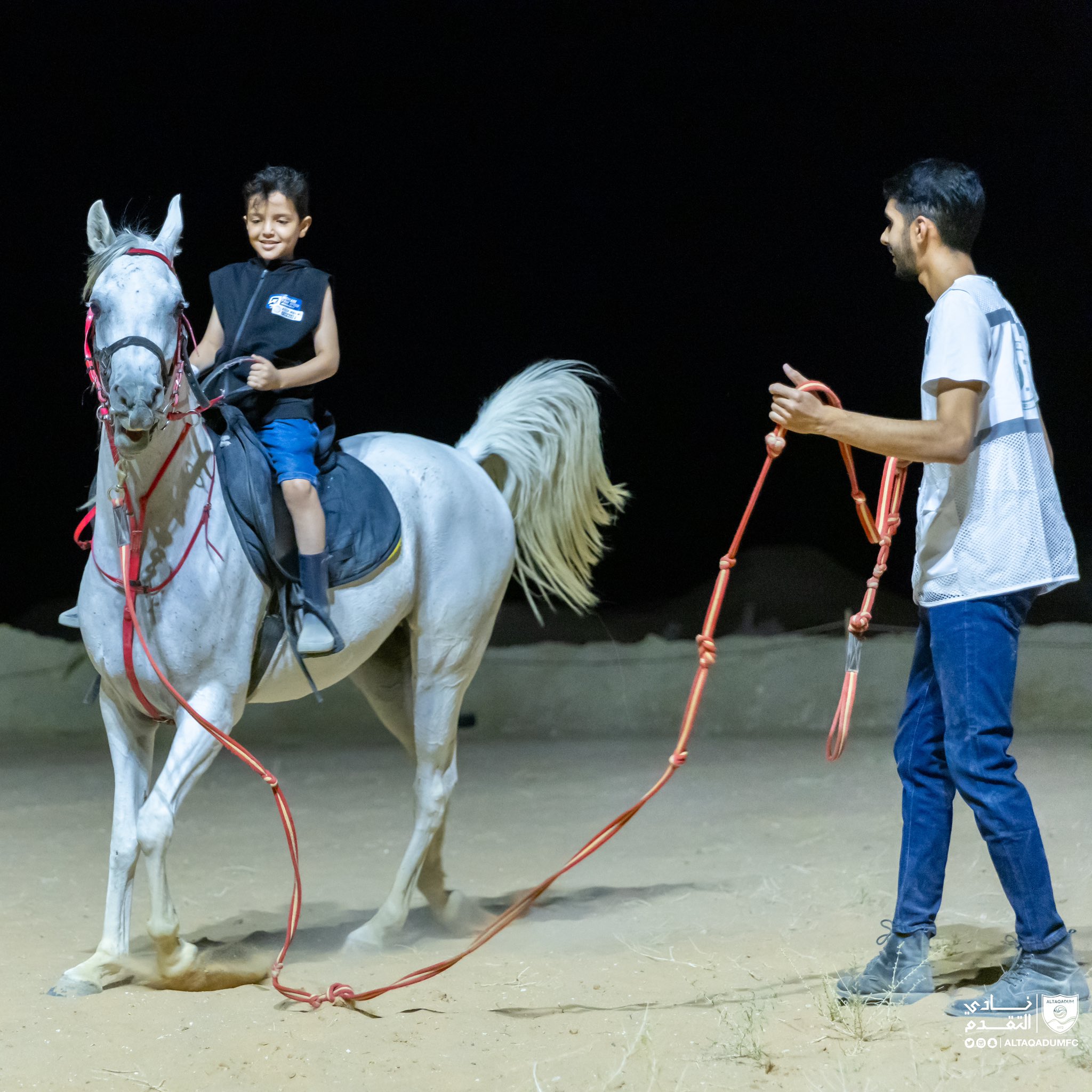 فارس التقدم ( الاسبوع الثالث و الأخير )